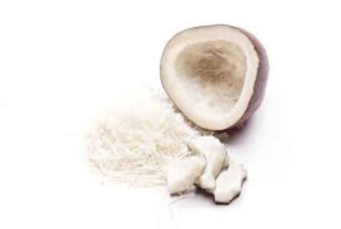 Dry Coconut Benefits For Female