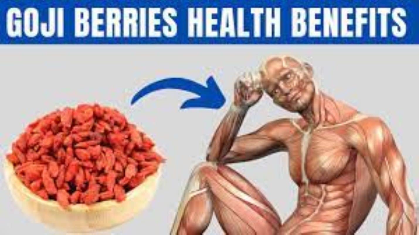 Goji Berries Benefits For Male