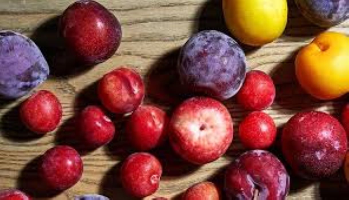 Plum Fruit For Skin Whitening